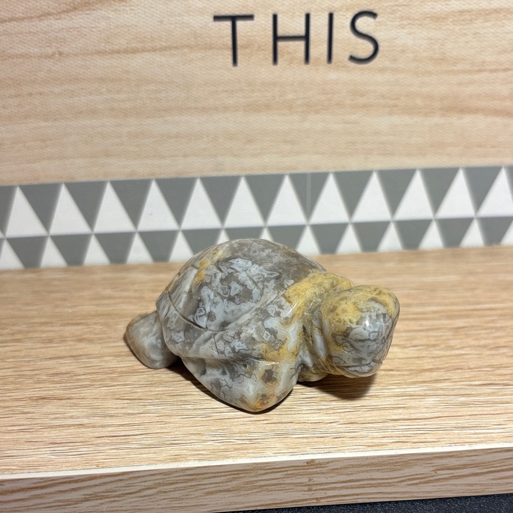 Crazy Agate Turtle (CRAC2)